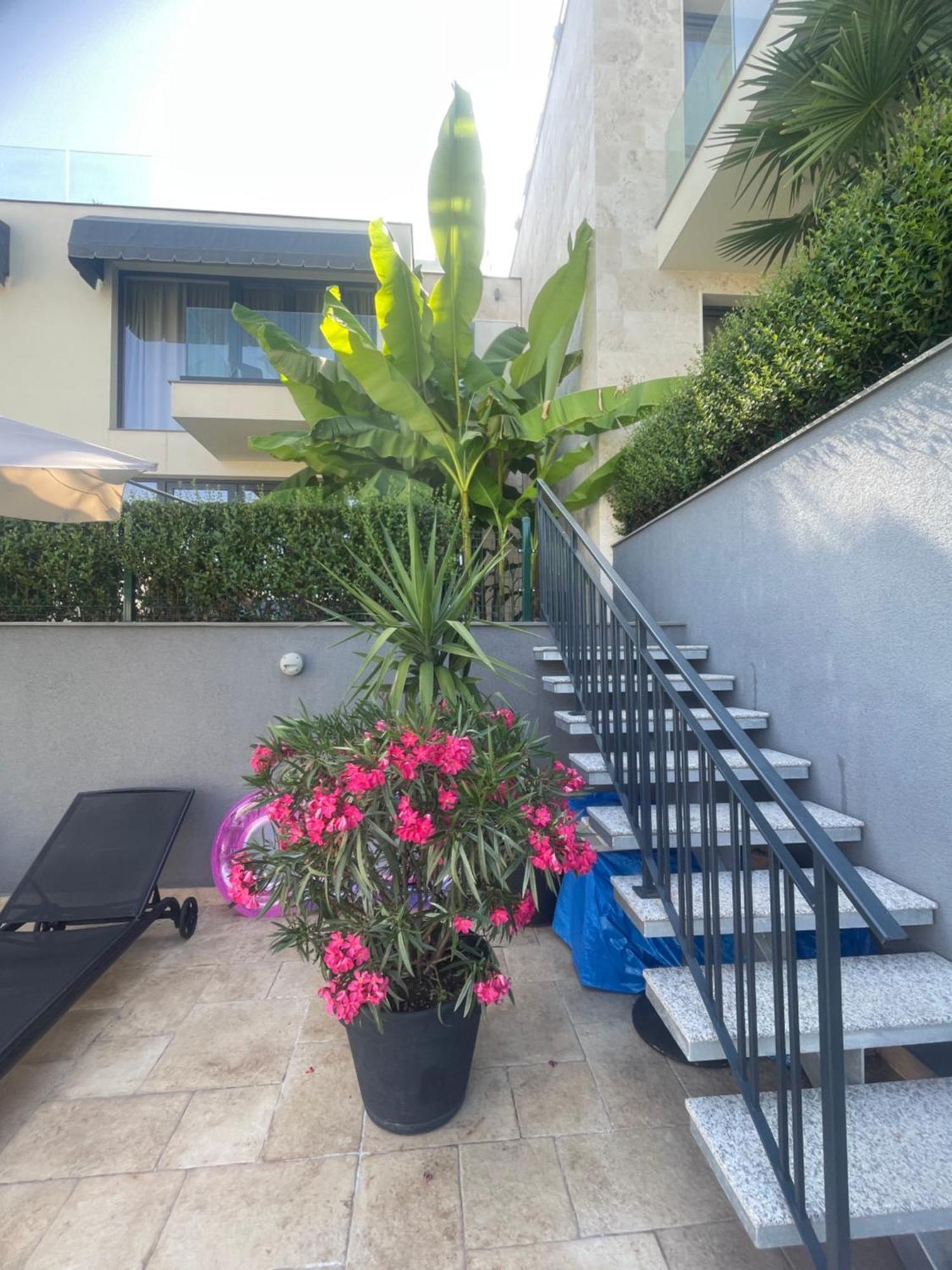 Buena Vista Villas Varna Exterior photo